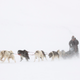 Image for article titled Experts Predict Covid-19 Vaccine Could Be Ready As Soon As Team Of Sled Dogs Traverse Yukon With It
